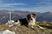 64 Alla croce di vetta del Pizzo Badile (2044 m)